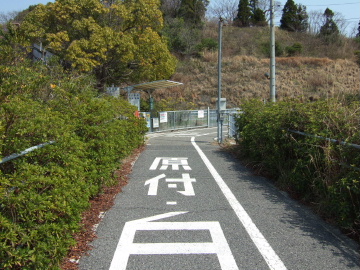 绰綶פ