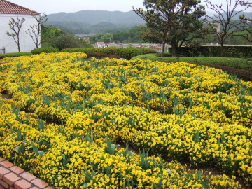 Ȫ쥤