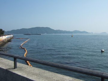 ο⥭쥤