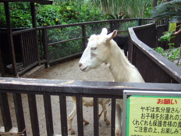 ˽˿Ĥ䥮