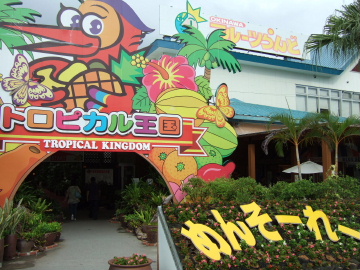 OKINAWAե롼ĥ