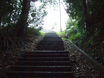 󤯤ʤ褦ʳ