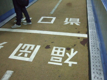 ʡȻθ(ͤ¿Ƽ̿Ƥѡ)