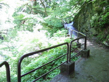 饭ȤФ