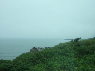 Х鸫볤Ϥɤ