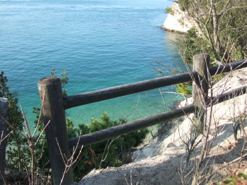 Ʃ٤⤯줬륭쥤