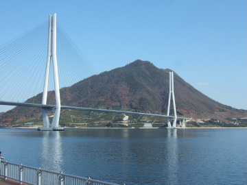 ƻαؤ鸫¿綶
