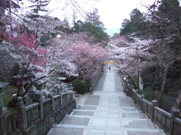 餭κʤ
