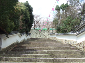 ˤϳʤդʪ