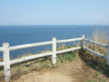 ĤʳȤƤ⥭쥤