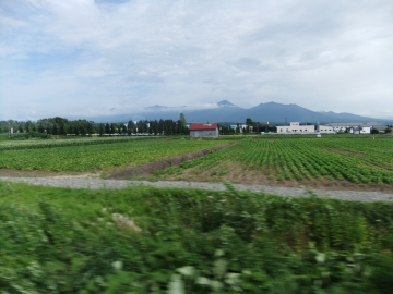 ̳ƻ餷Τɤʸ