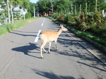ƻϩ椬ʪ⤯