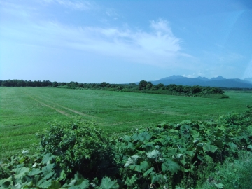 ̳ƻ餷ʤ