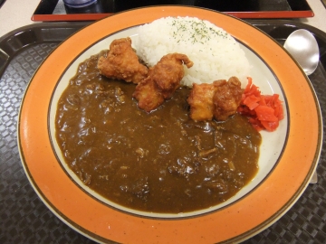 ͤʸե饤ɥ󥫥졼(500)