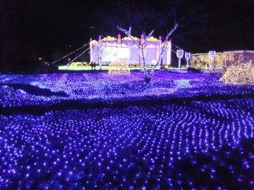 ʤۤɤLED