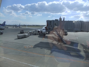 ̵˰ð夷JAL2464