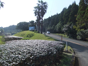 Х䤫餳κƻФäƤ