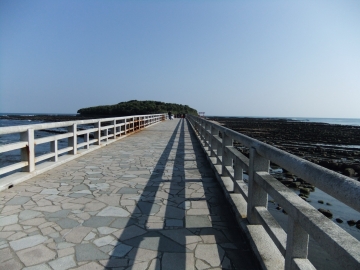 θ
