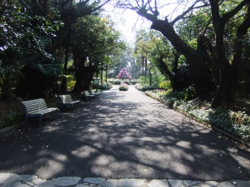 ڤ䤫Ϥʤʪ