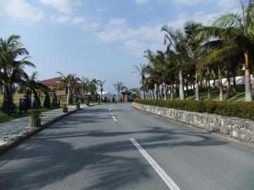 Ϥ褤ɥ饤֢