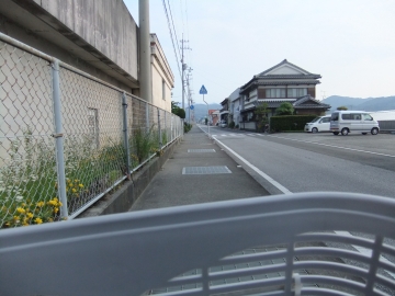 䤹ƻ