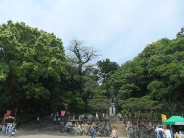 ξϼ