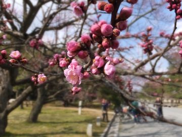 ֤餫Ƥ